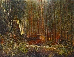 Лесное болото 63x48 см. Холст. Масло. 1991 г.