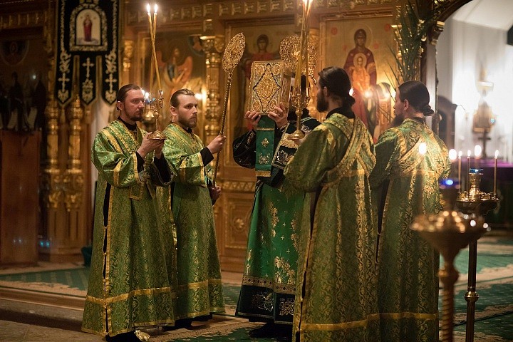 Большое значение имеют указания на использование встречающими Христа людьми ветвей, которые не упоминаются только в рассказе евангелиста Луки.