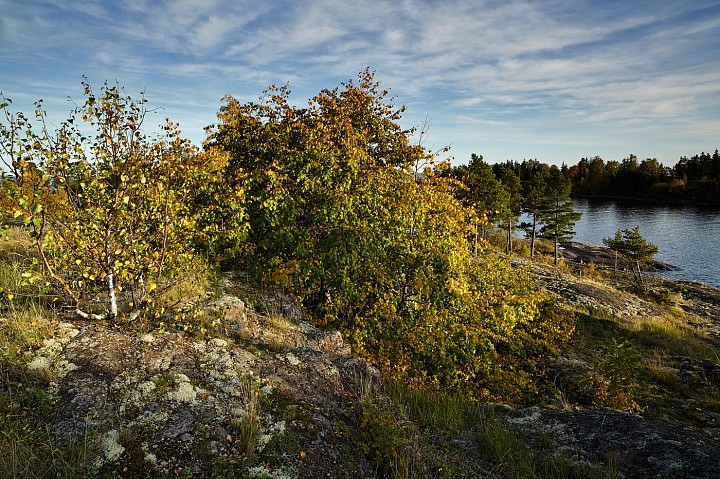 Остров Авраамиевский, осень