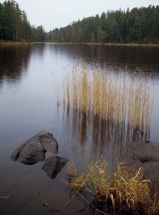 Весеннее половодье. Фото иеромонаха Савватия.
