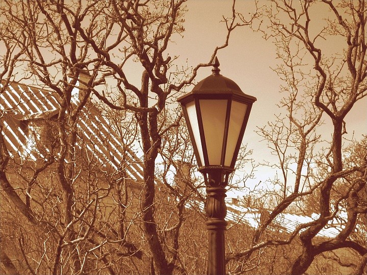 Этюд с фонарем и сиренью