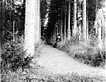 Игумен Харитон на кладбище у пустыньки. Фотография, исполненная летом 1935 года специально для будущей книги Б. Зайцева. Помещена на второй странице первой вкладки
