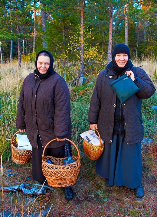 Боевые подруги