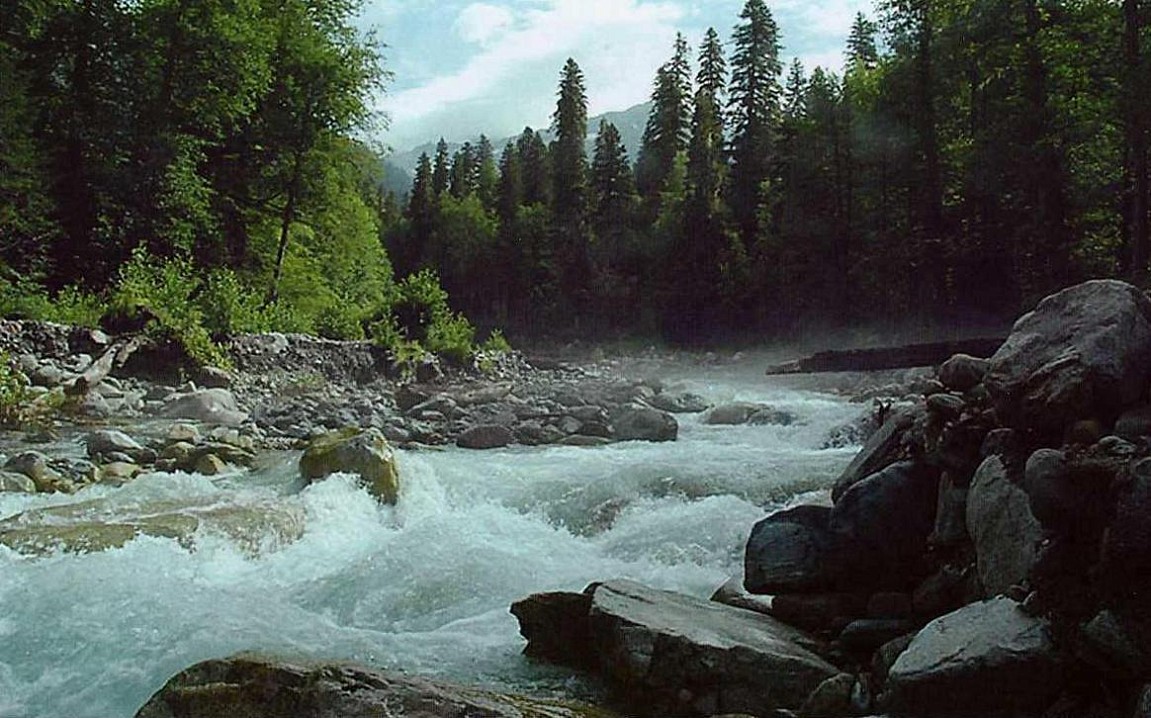 Река Грибза