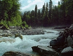 Река Грибза