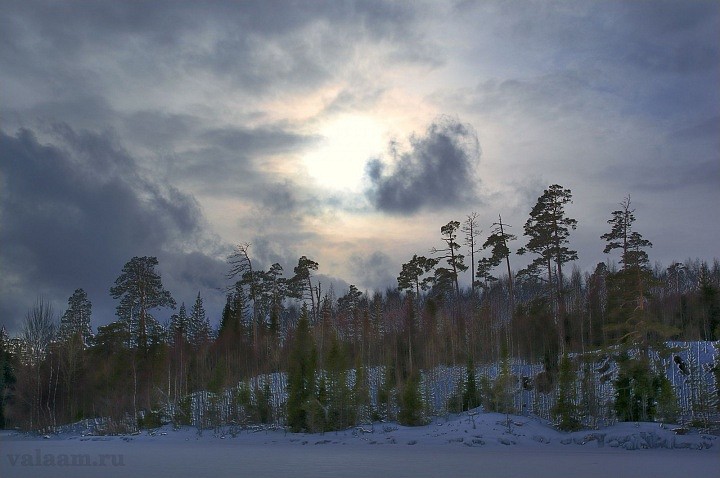 Зимнее солнце