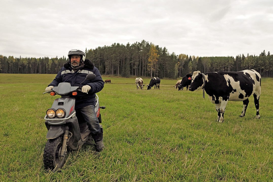 Проверка на полях, октябрь 2015 года
