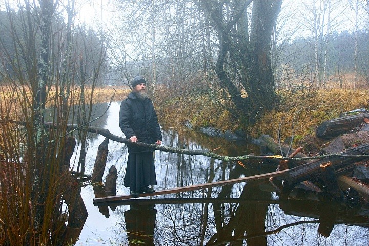 Птичий Акафист