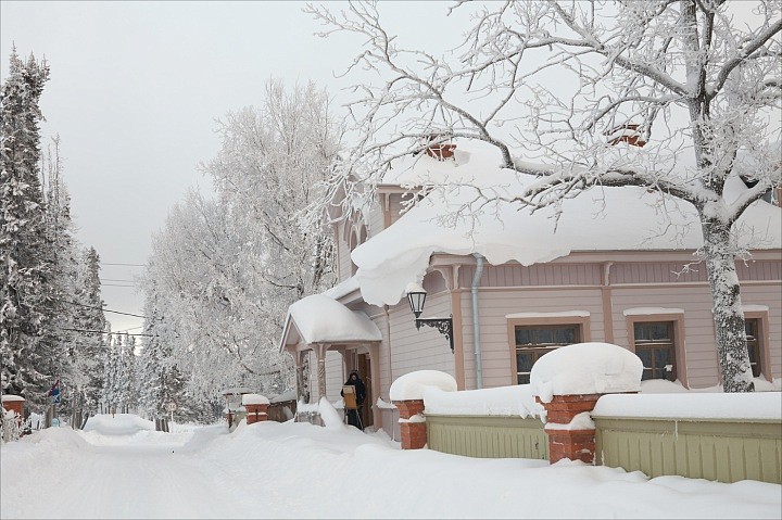 Художник, зимний этюд