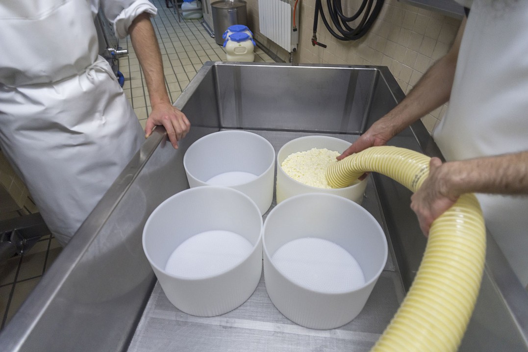 По трубке сыворотка с сырными зёрнами выливается в специальную посуду с пористым дном. Сыворотка сливается в нижнюю часть прямоугольного бака.