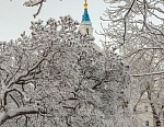 Фото Павла Козионова. Зима 2024 года