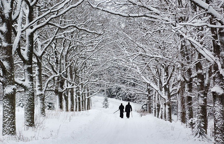 Фотоохотники