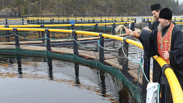 Возрождение традиций Старого Валаама. Форелевое хозяйство монастыря
