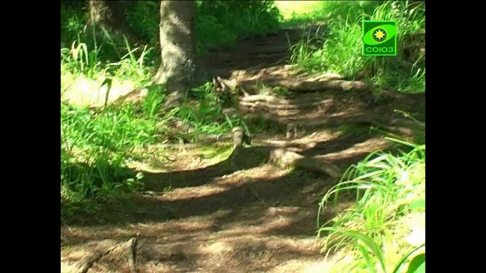 ТК Союз. По святым местам. Валаам. фильм-9 (30.08.2010)