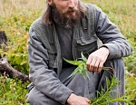 Садовод