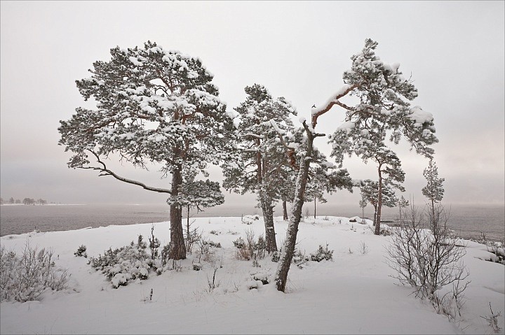 После снегопада