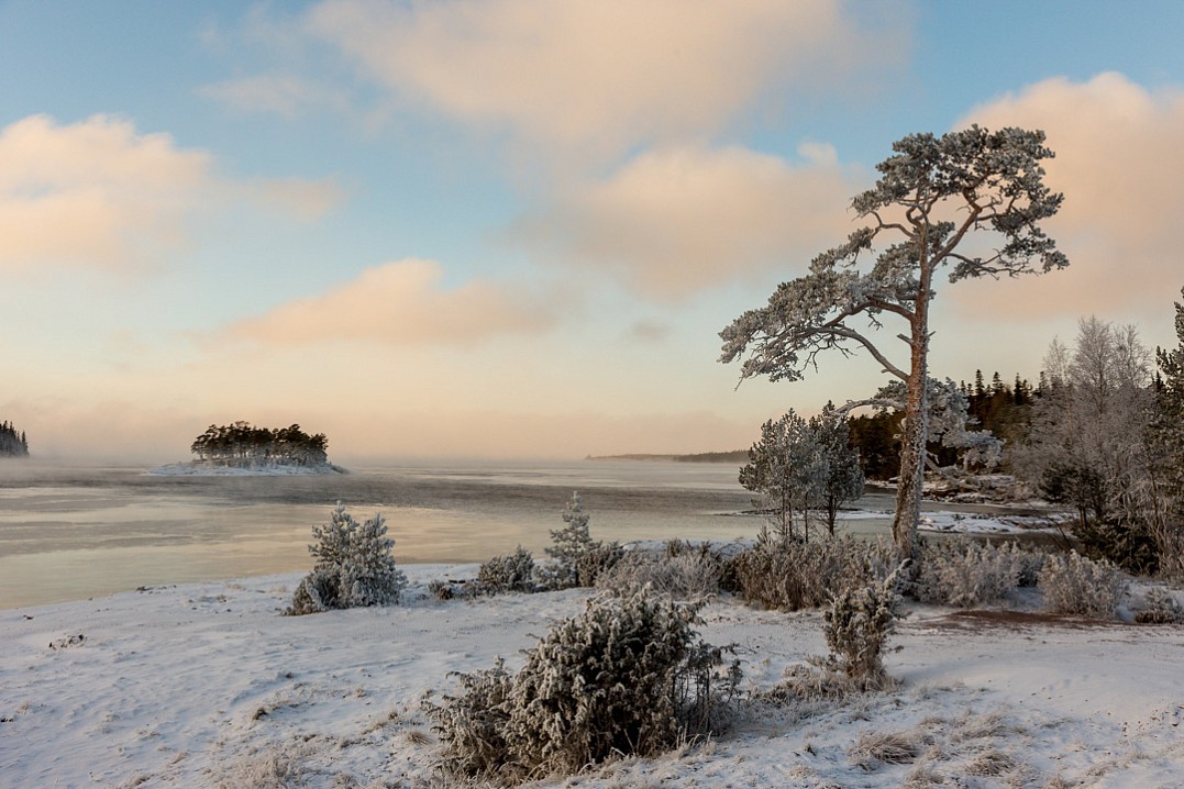 Карельская зима, Павел Козионов