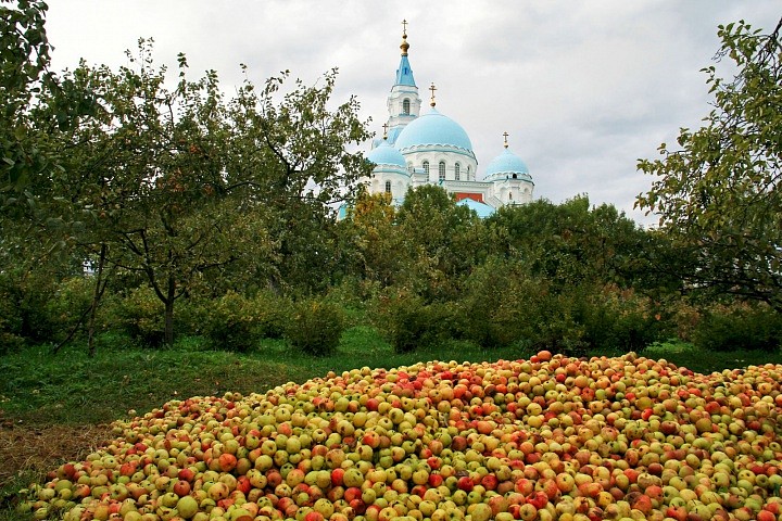 Урожай.
