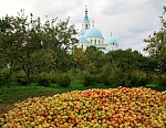 Урожай.