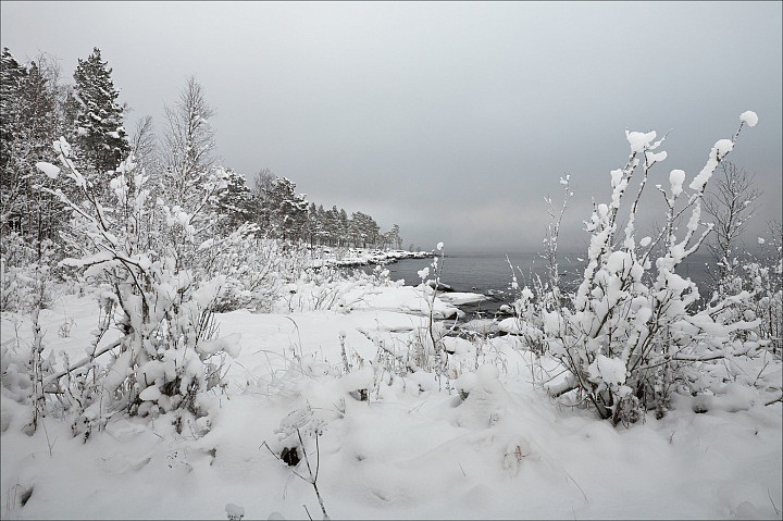 Первый снег