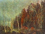 Местность 