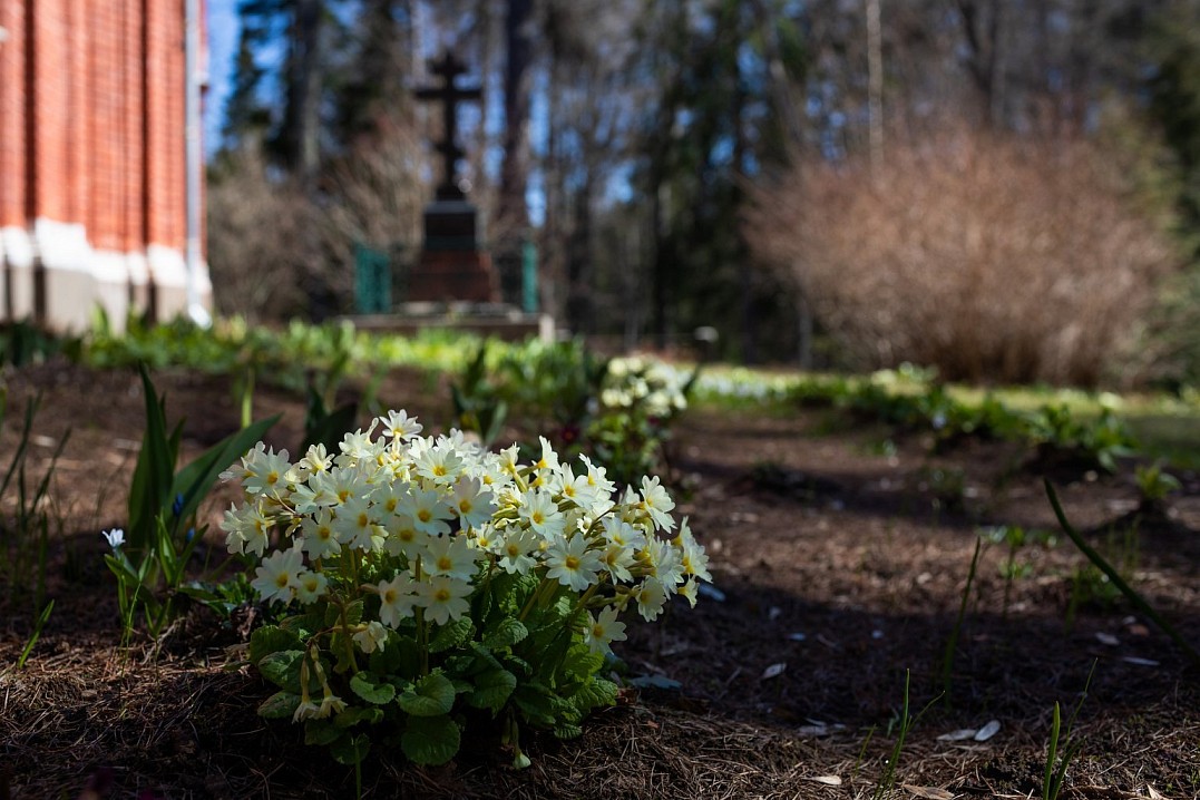 Игуменское кладбище