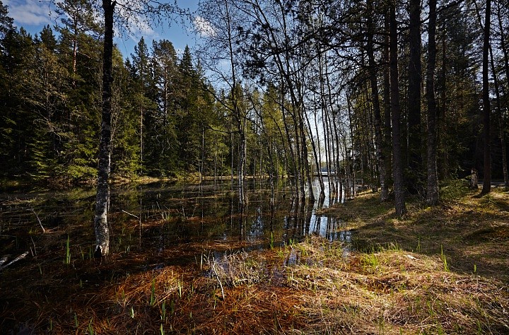 Весенний разлив