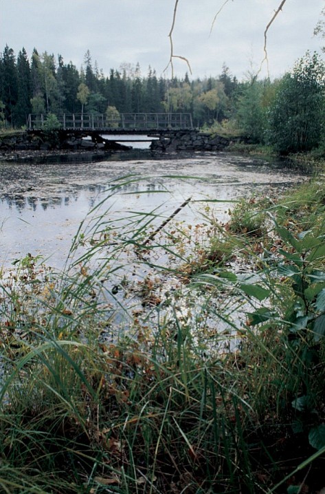 Озеро Мустаярви. 1993 г.