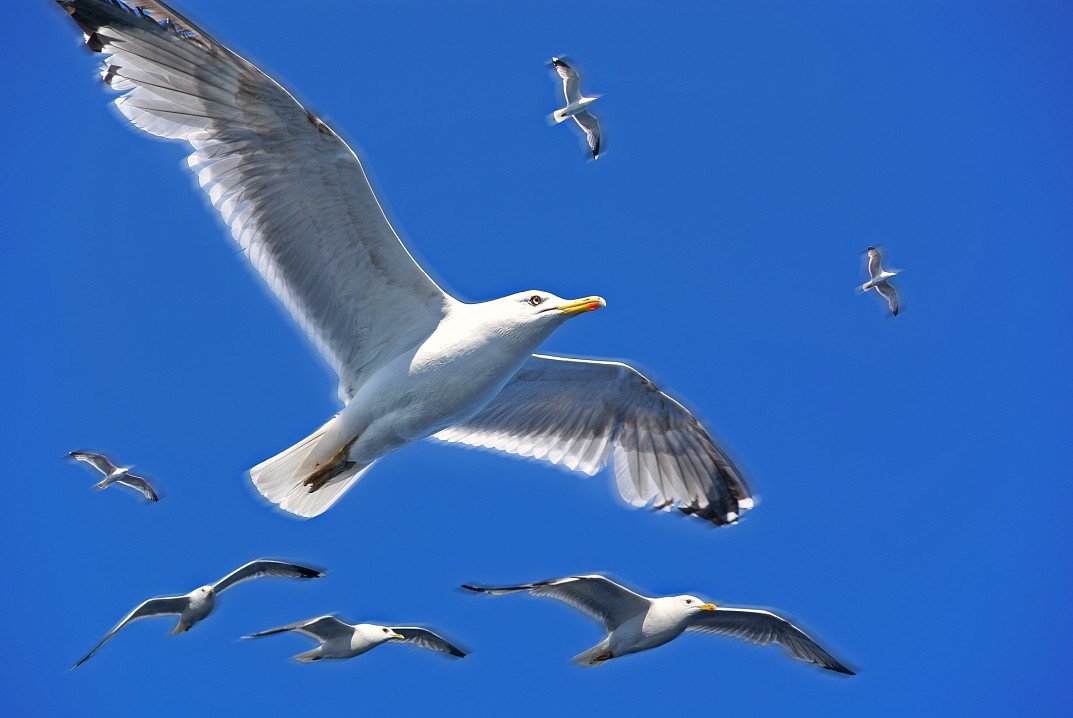 Фото иеродиакона Августина.