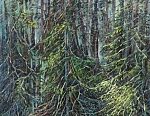Лесная глушь 54x33 см. Холст. Масло. 1993 г.