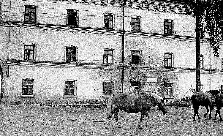 Кинолетопись Валаама. 1980 г. Фильм  " Природа Валаама". Студия "РУНЫ".