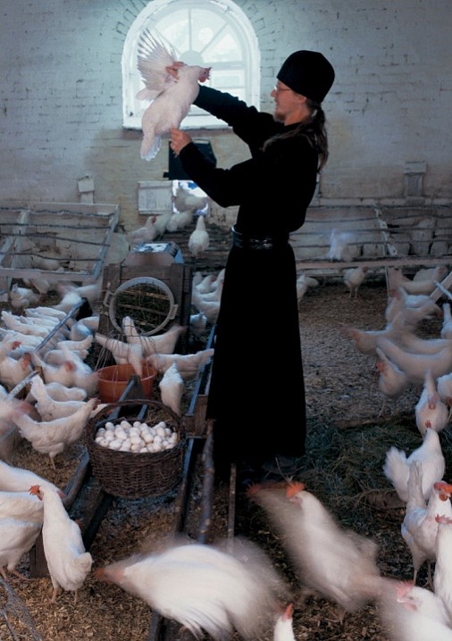 На ферме. Курятник. 2000 г.