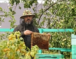 Сергий пчеловод проверяет состояние жизнедеятельности улия