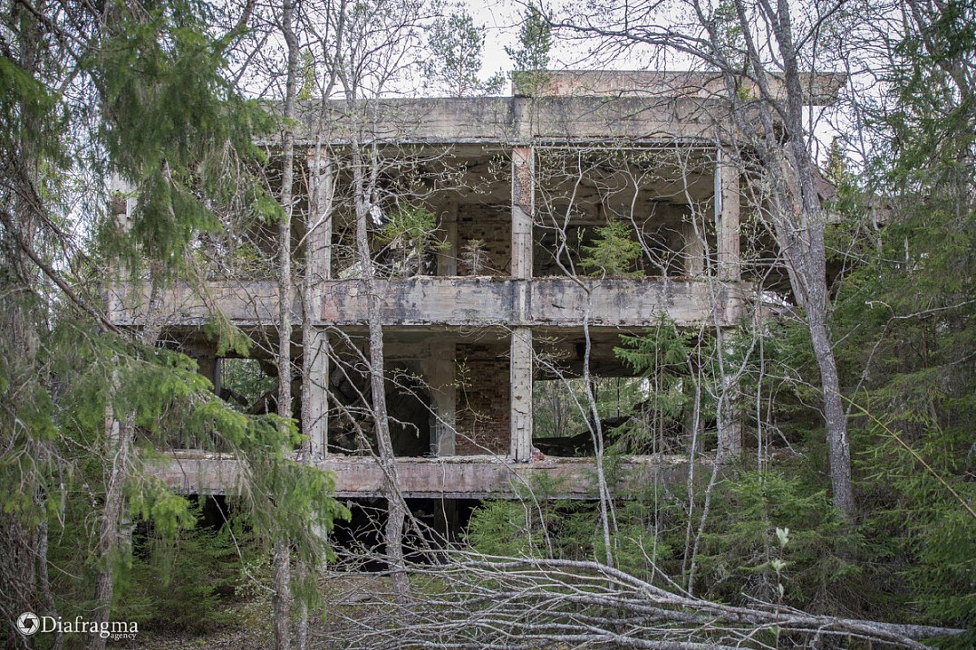 Разрушенная финская казарма возвышается среди зарослей леса у мыса Красный