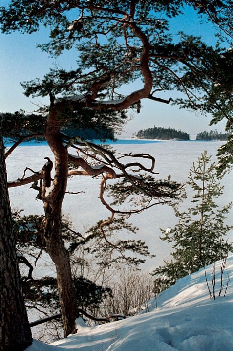 В окрестностях Воскресенского скита. 1994 г.