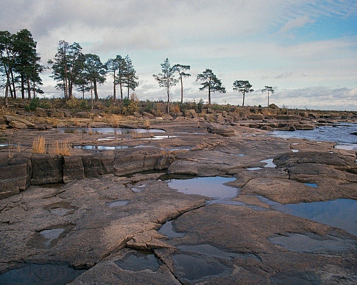 Валаамская луда (береговые камни). 1990 г.
