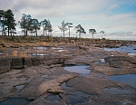 Валаамская луда (береговые камни). 1990 г.