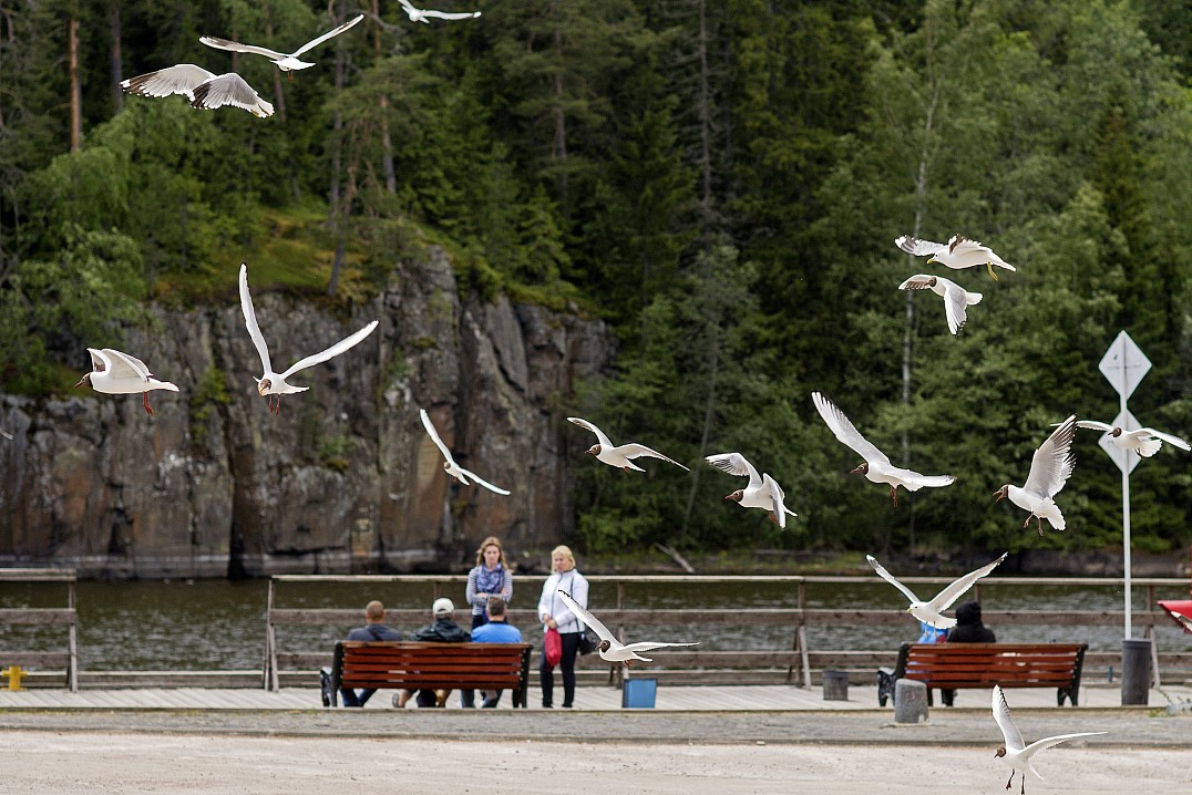 Уважаемые паломники и гости Спасо-Преображенского Валаамского ставропигиального мужского монастыря!
