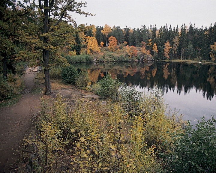 Игуменское озеро. 1993 г.