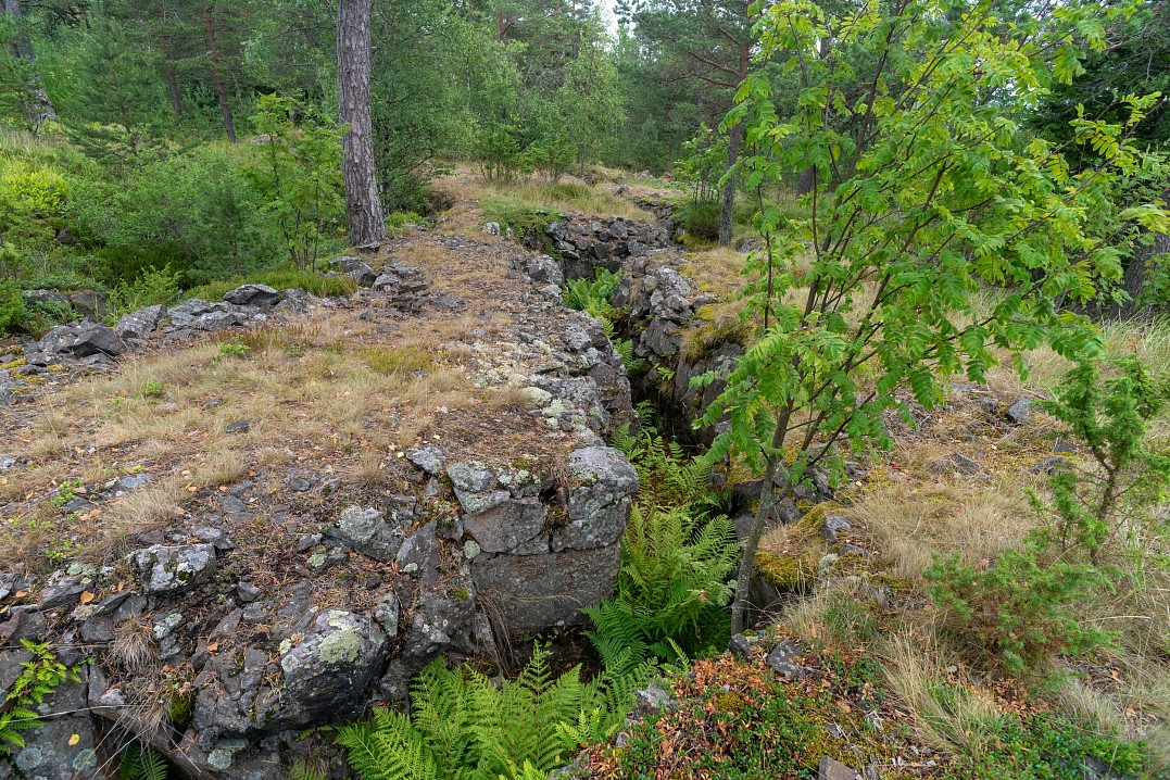 Ходы сообщения, выдолбленные в камне. Келисаари, июль 2020 г.