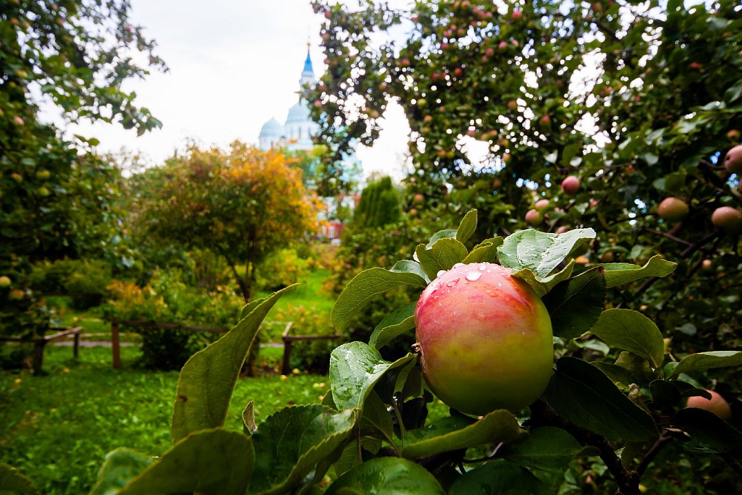 Близ основного монастыря монахи разбили три сада: верхний, средний и нижний.