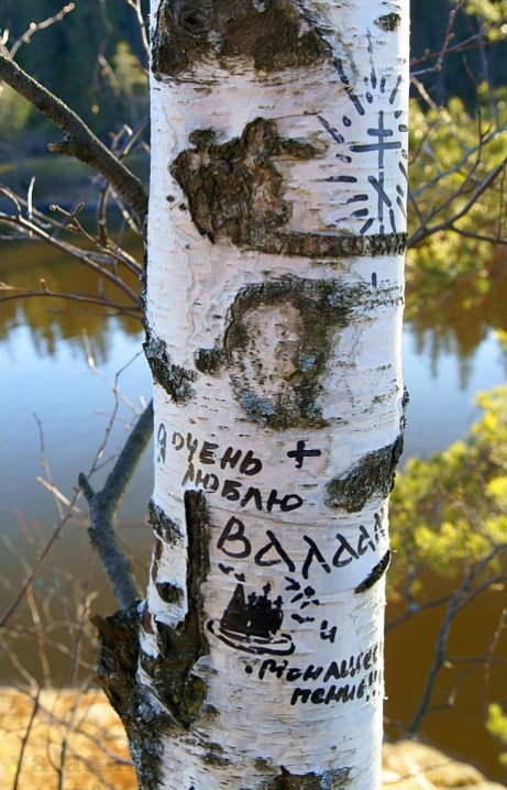 Мы тоже любим !