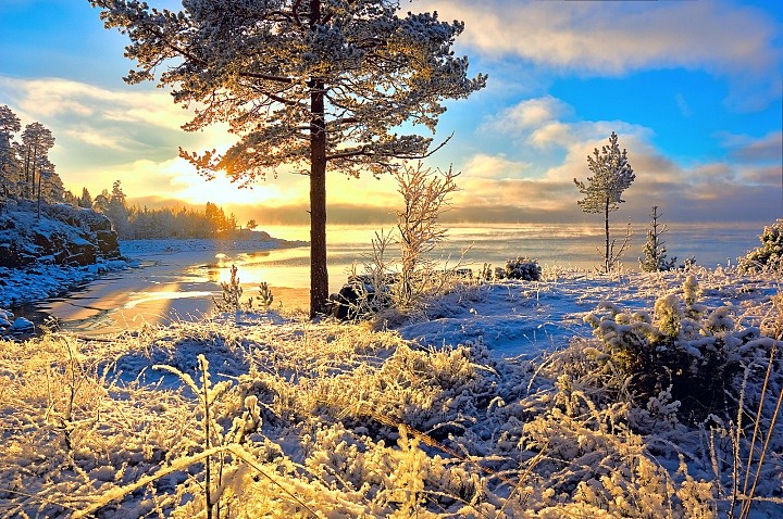 Зимний свет