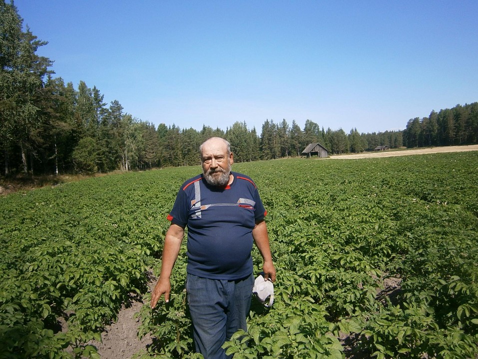 На картофельном поле