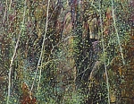 Скалистая глушь 62x32 см. Холст. Масло. 1994 г.