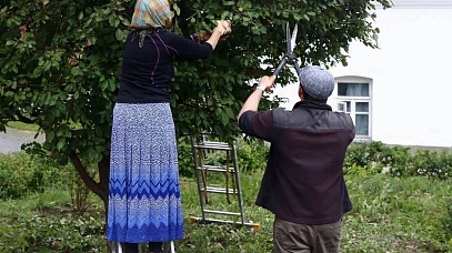 Волонтёрский лагерь «Жемчужина Ладоги»