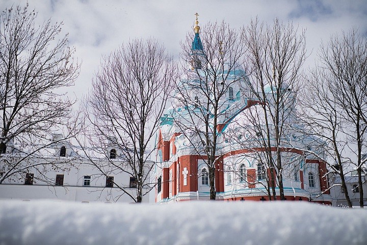 Вместе с привычным тёплым солнцем, капелью и щебетом птах, которые уже “трубят весну”, в один день выпало столько мягкого пушистого невесомого снега, что явь и сон перемешались! 