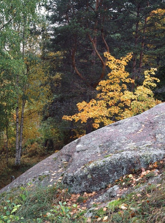 Осень
