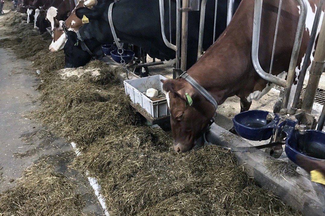 Фото Татьяны Тюменевой