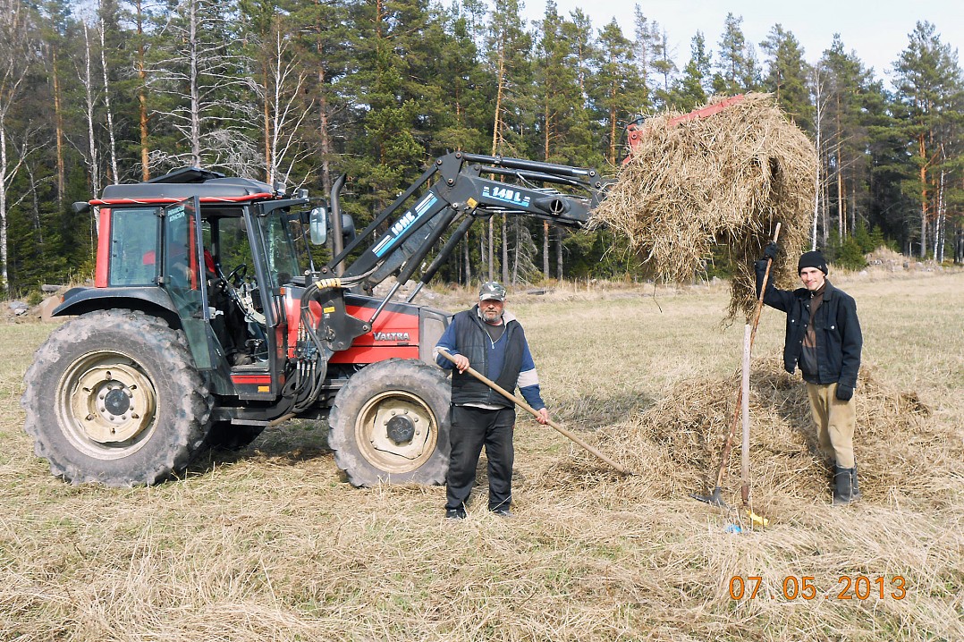 Уборка прошлогодней травы на Андриановском поле, май 2013